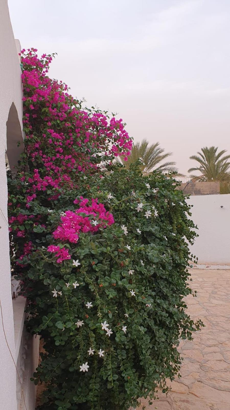 Residence Nour Douz Bagian luar foto